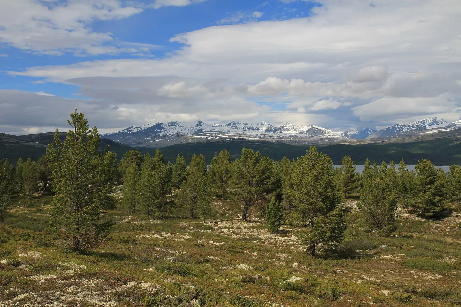 Fjällandskap med snöklädda toppar i Rondane