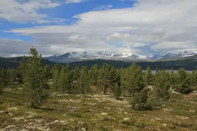 Fjällandskap med snöklädda toppar i Rondane