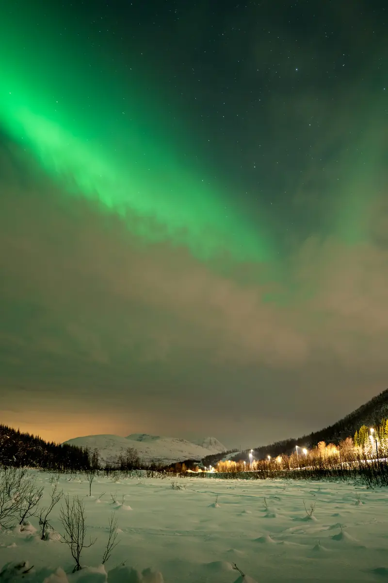Grönt norrsken över ett snötäckt landskap vid Tromsø