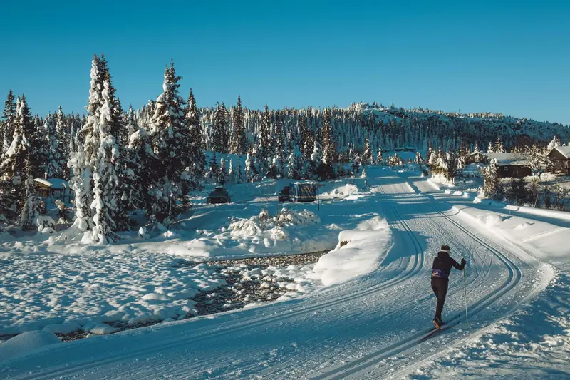 En längdskidåkare i preparerade spår i ett snötäckt skogslandskap