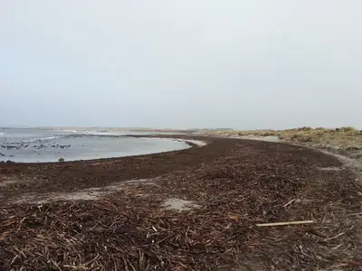 Strand och öppet hav på Jæren i Rogaland