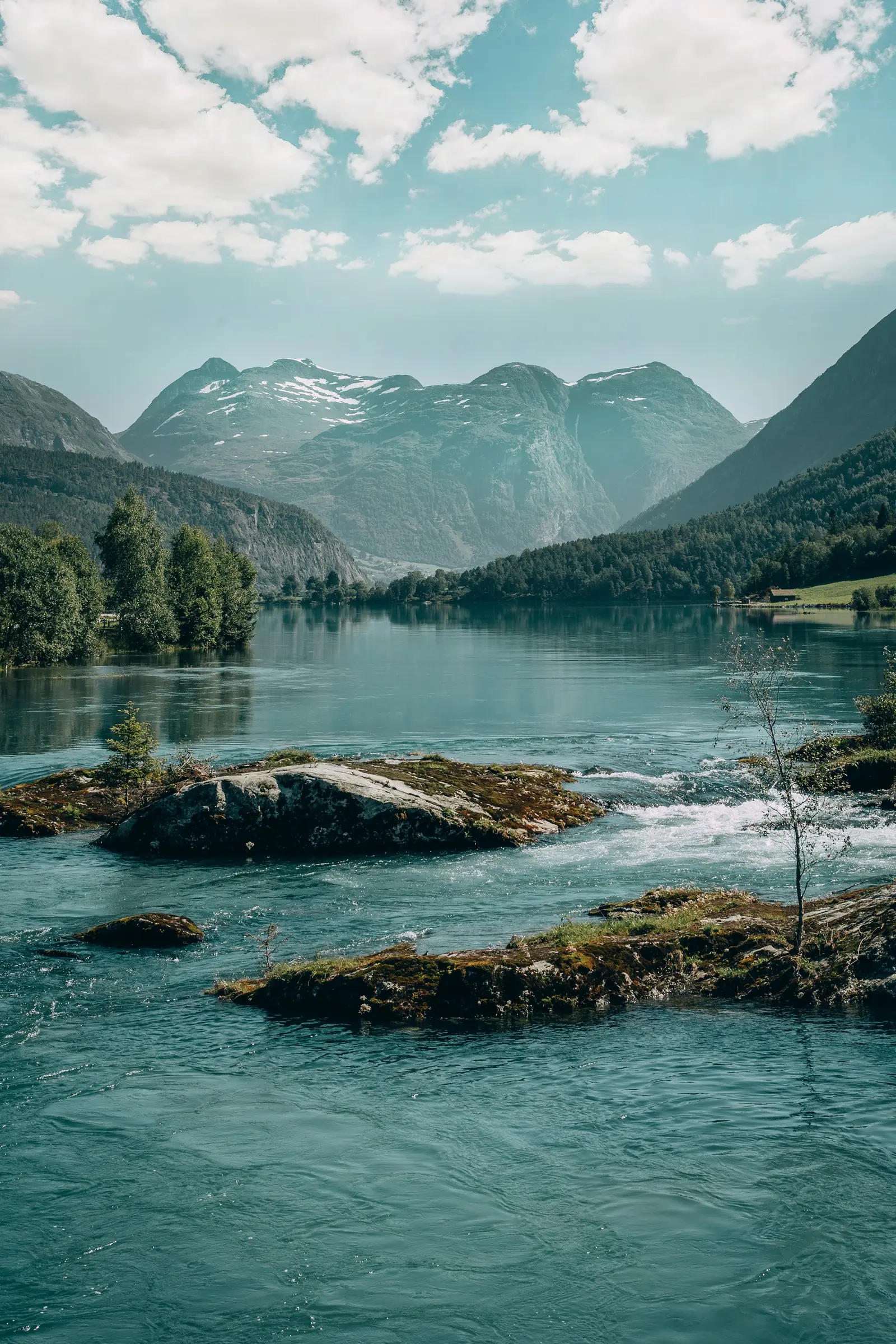Gröna träd och fjäll vid vattnet i Loen på sommaren