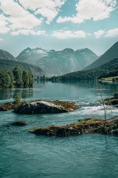 Gröna träd och fjäll vid vattnet i Loen på sommaren