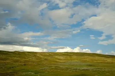 Öppet gräsbevuxet fjällandskap på Hardangervidda under en blå himmel med moln