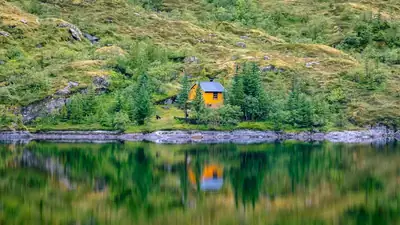 En liten stuga på en grön ö i Lofoten
